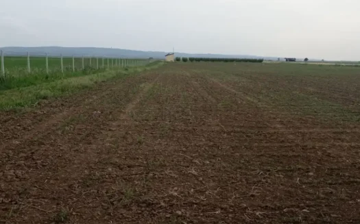 Zemlja uz autoput