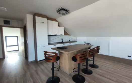 Petfriendly dvoiposoban stan – Sremska Kamenica – Gajeva