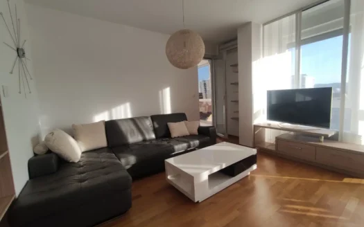 Dvoiposoban stan – Bulevar oslobođenja – Petra Drapšina